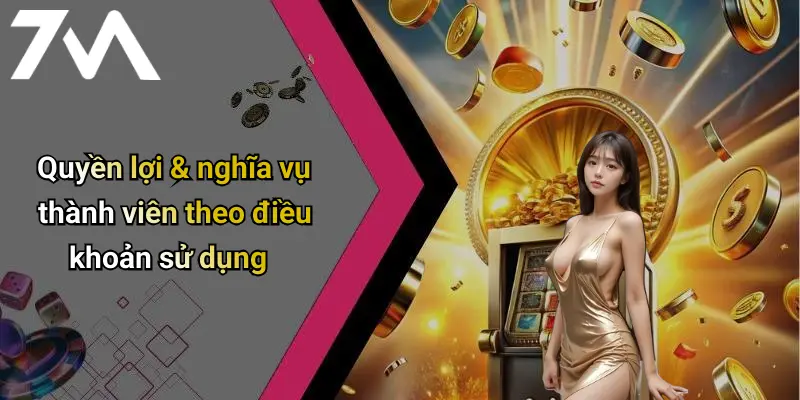 Quyền lợi & nghĩa vụ thành viên theo điều khoản sử dụng