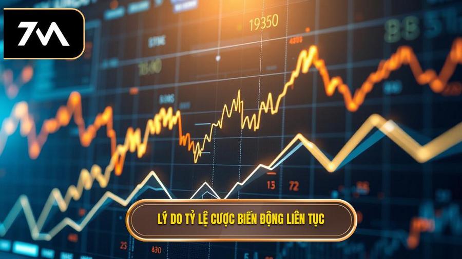 Tại sao tỷ lệ cược lại biến động liên tục?